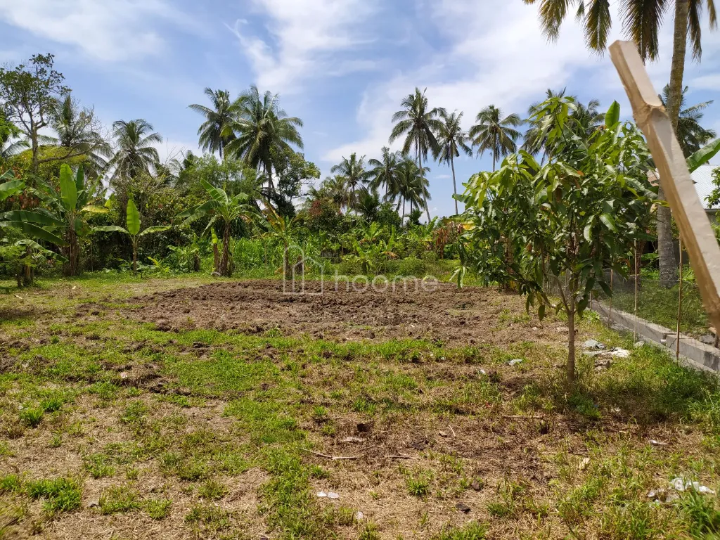 Dijual Tanah Di jual tanah luas 749 m2 — foto 3 dari 4