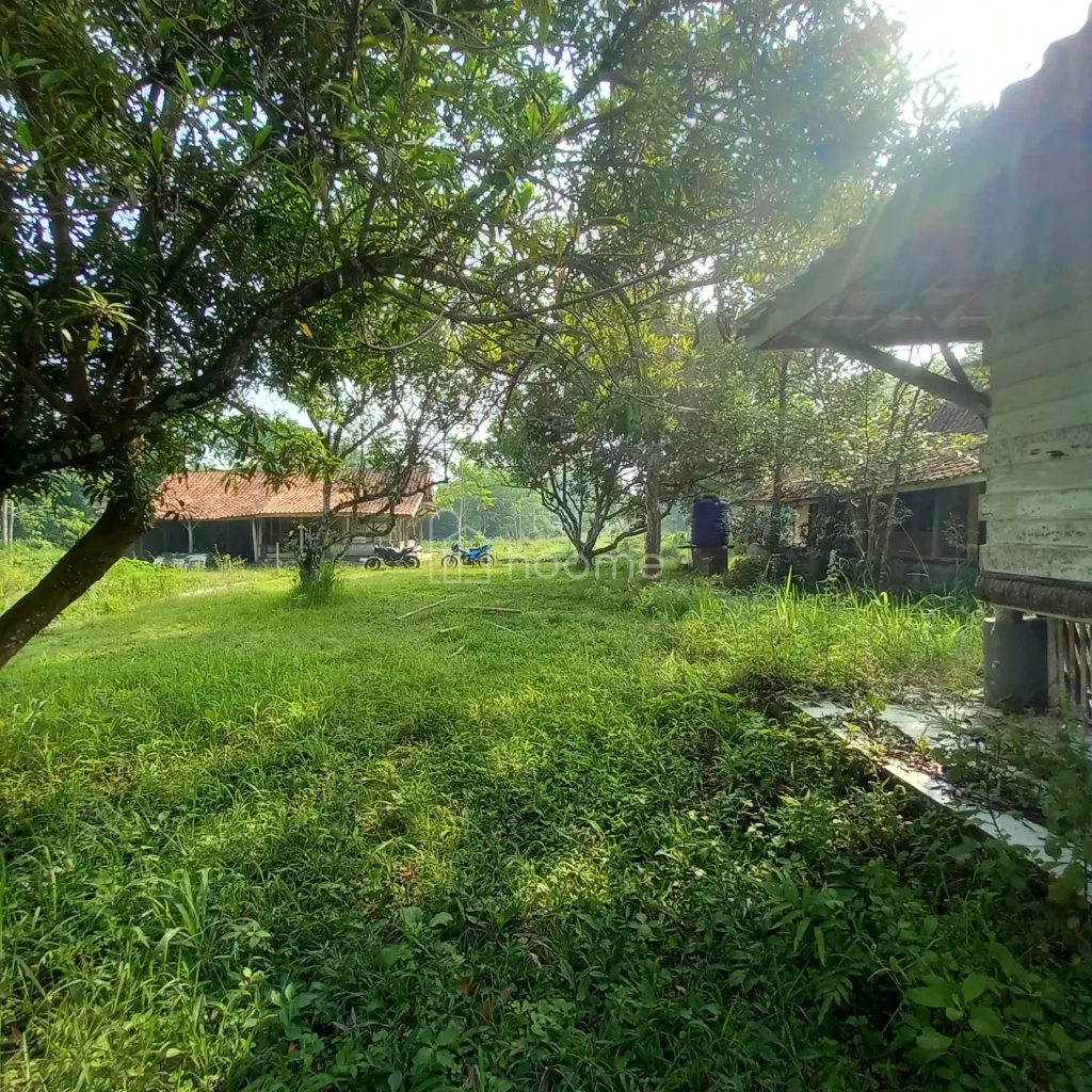 Dijual Tanah Tanah kebun dekat saguling — foto 3 dari 4