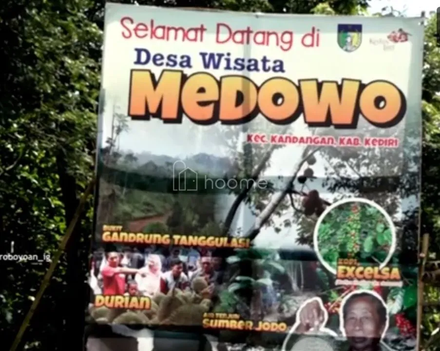 Dijual Tanah jual Tanah Kebun Produktif Duren ,Cengkeh kediri — foto 2 dari 5