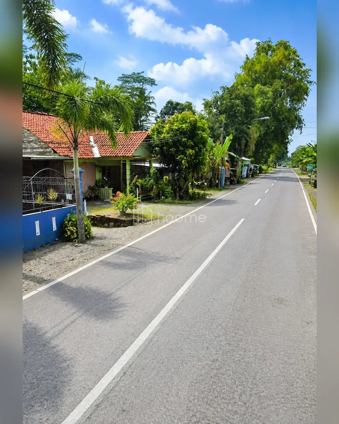 Dijual Tanah Pekarangan Luas 1.540 m2 SHM Bonus Rumah di Purwodadi Purworejo — foto 3 dari 4