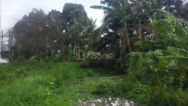Dijual Tanah Tanah murah di jl Jendral Gatot Subroto — foto 3 dari 5