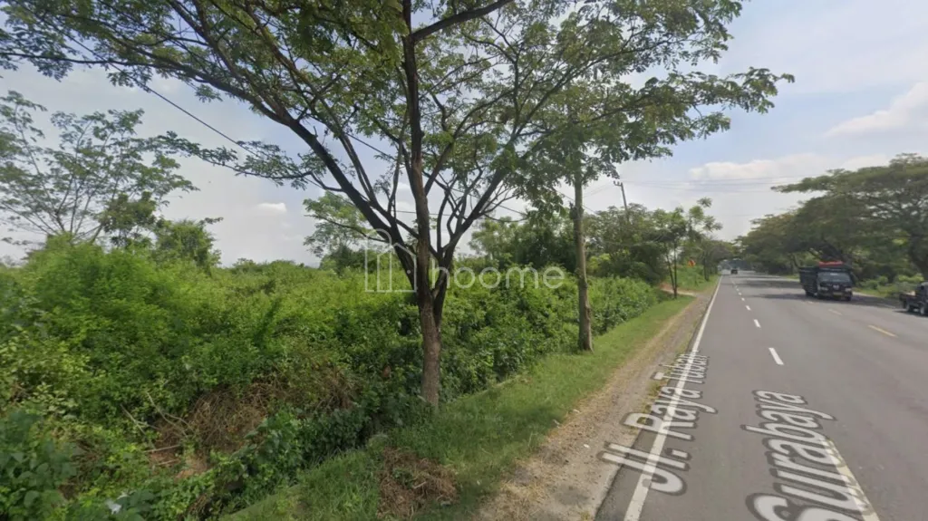 Dijual Tanah  Industri Nol Jl Provinsi Raya Tuban Babat Widang — foto 2 dari 4