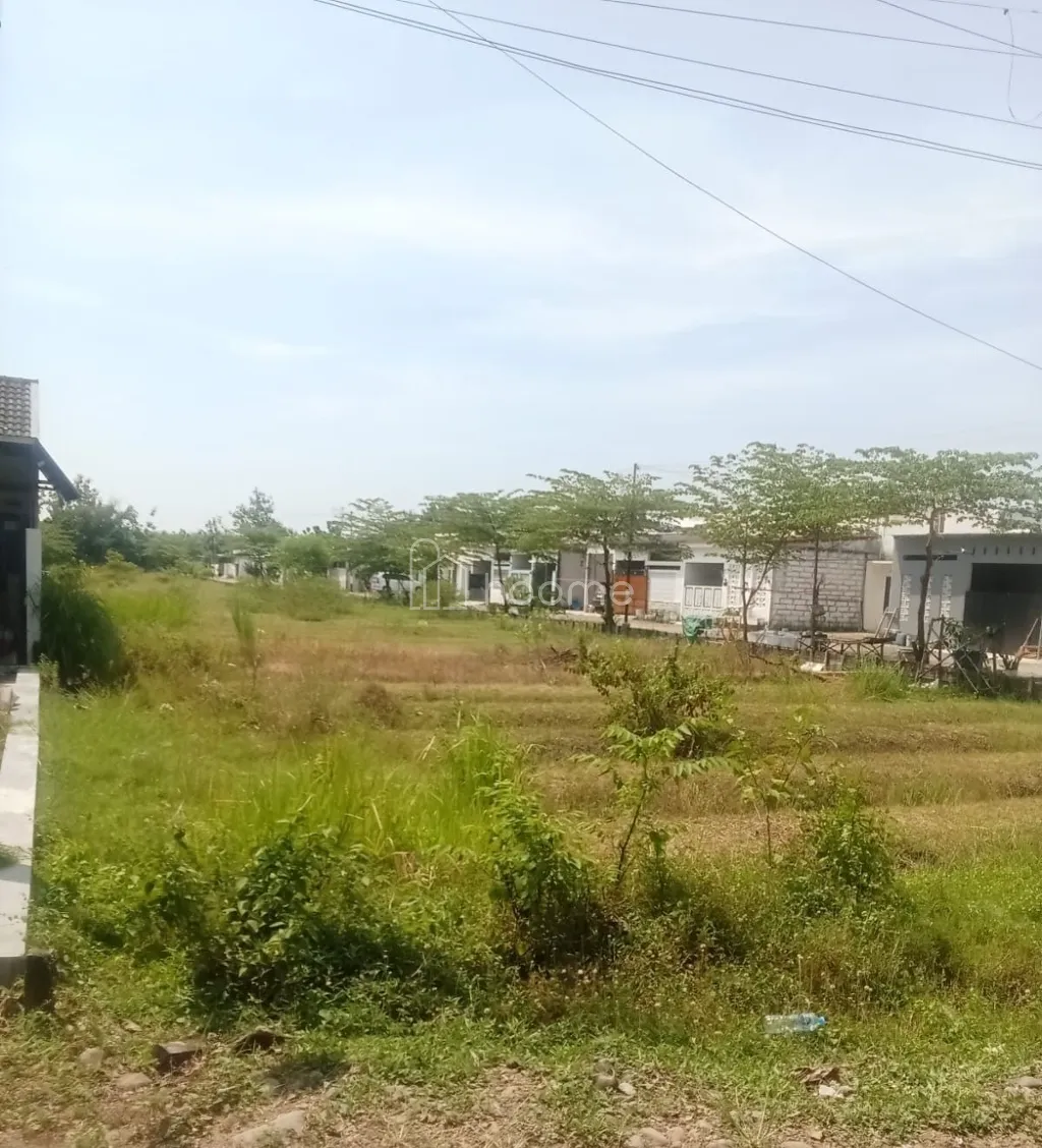 Dijual Tanah jual tanah bisa buat kavling perumahan  — foto 3 dari 3
