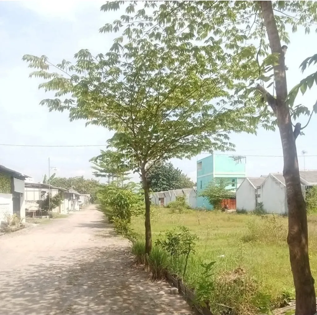Dijual Tanah jual tanah bisa buat kavling perumahan  — foto 2 dari 3