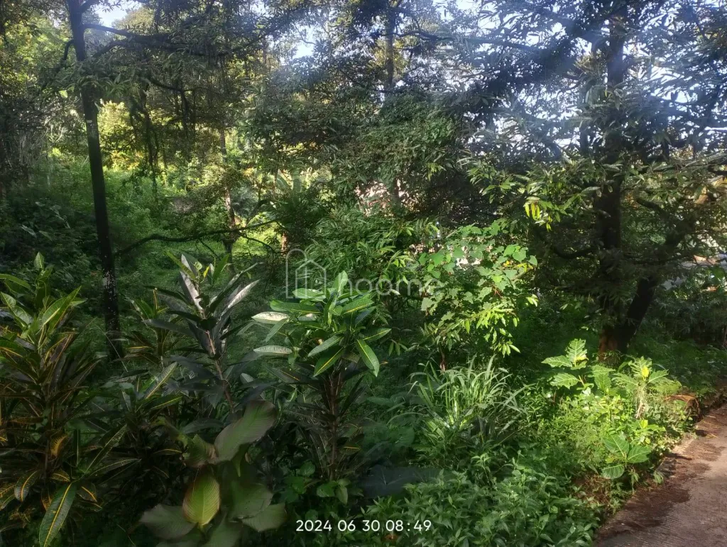 Dijual Tanah tanah kosong jambuluwuk — foto 3 dari 6