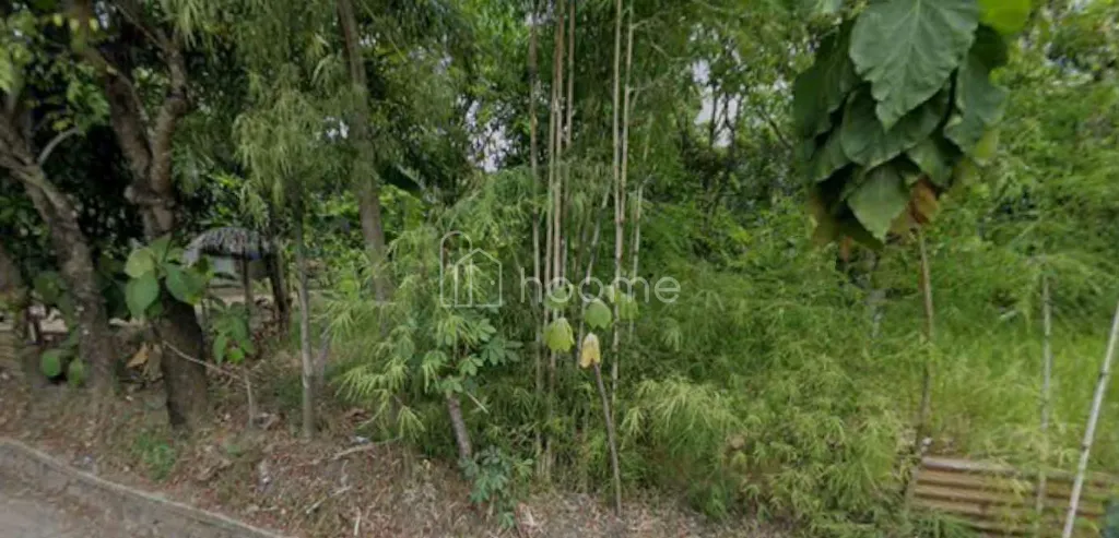 Dijual Tanah Murah di Jl. Sunan Drajat Kubangsari Cilegon — foto 3 dari 3
