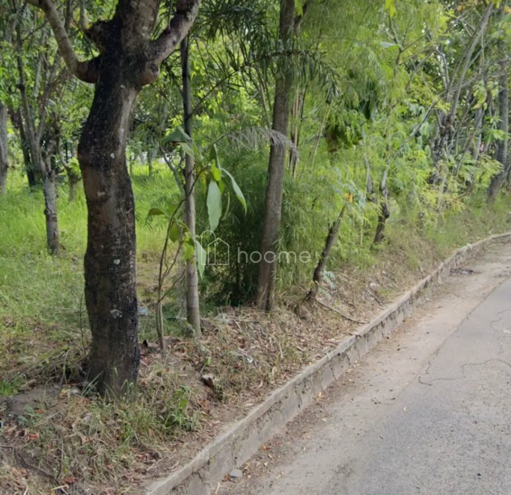 Dijual Tanah Murah di Jl. Sunan Drajat Kubangsari Cilegon — foto 2 dari 3