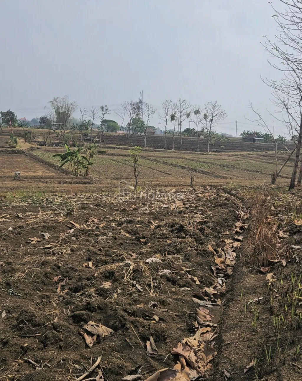Dijual Tanah di desa Slempit, Kedamean, Gresik, Jawa Timur — foto 3 dari 18