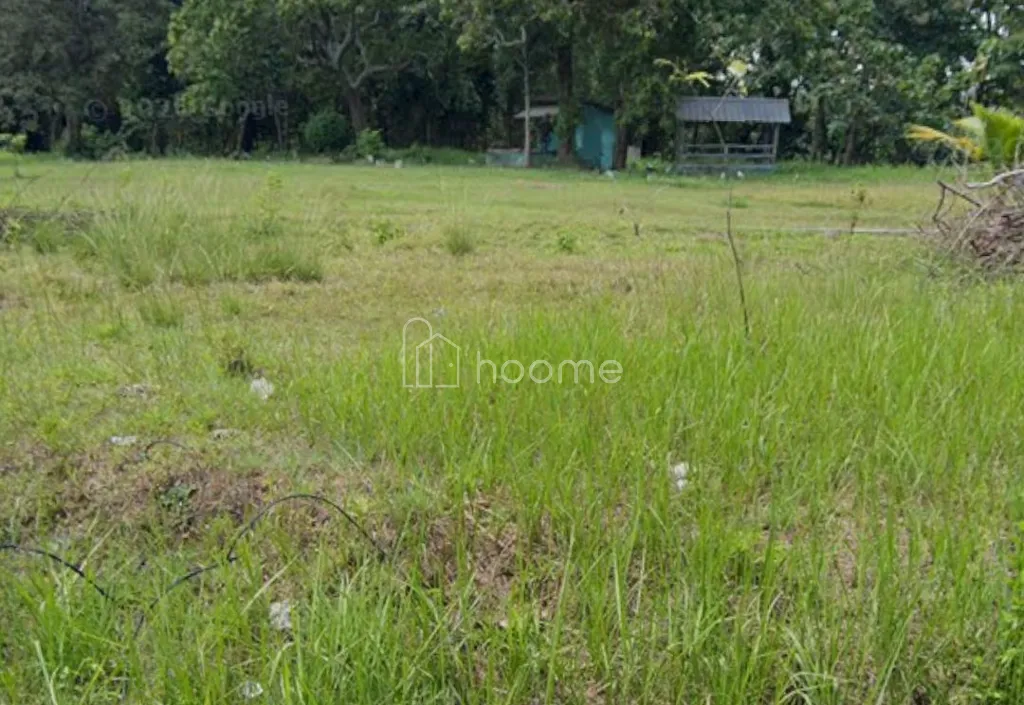 Dijual Tanah di Jl. Kyai. H. Mudzakir Murah — foto 3 dari 3