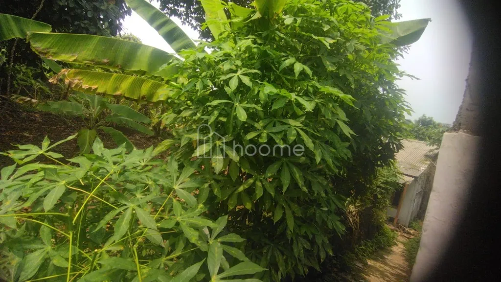Dijual Tanah DIJUAL TANAH KOSONG PAGAR — foto 2 dari 3