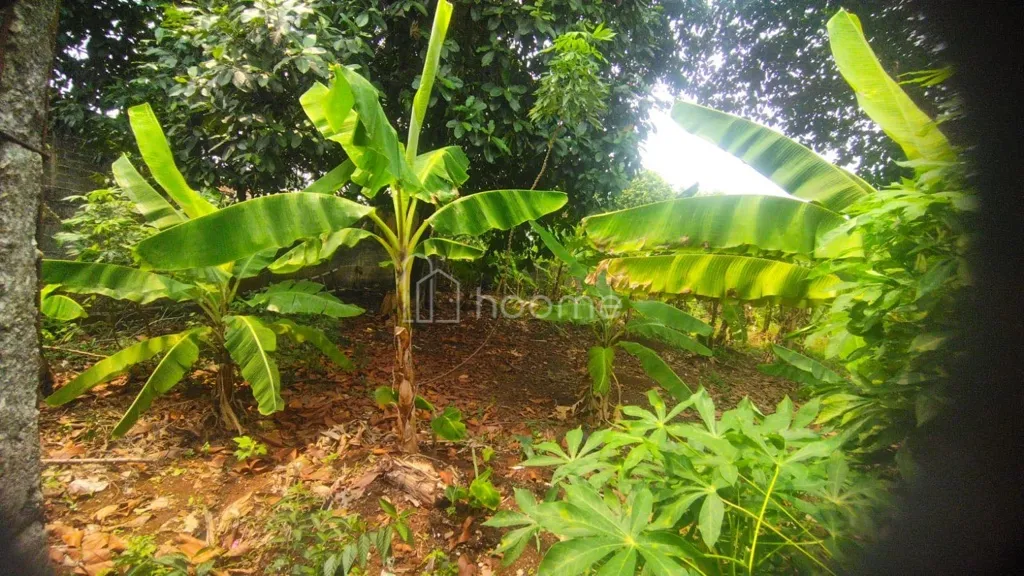 Dijual Tanah DIJUAL TANAH KOSONG PAGAR — foto 3 dari 3