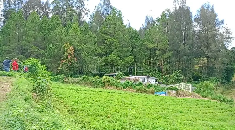 Dijual Tanah 7.220M² SHM DI BERASTAGI 081377470100