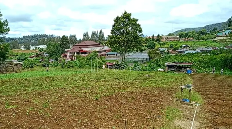 Dijual Tanah 14.236M² SHM DI BERASTAGI PECEREN 081377470100 — foto 2 dari 4