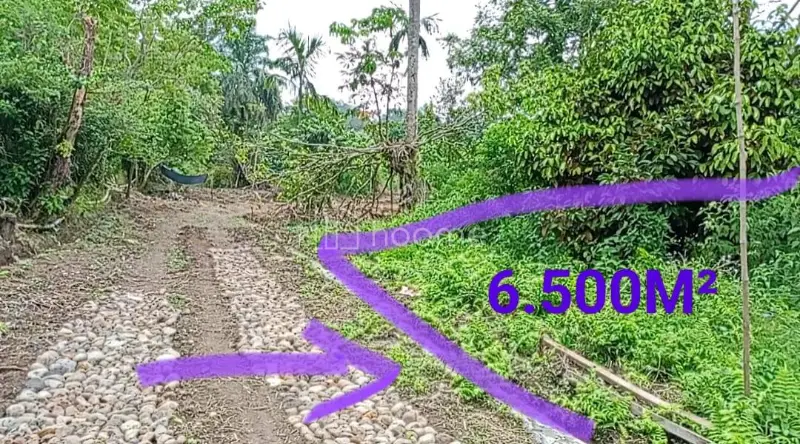Dijual Tanah 6.500M² DI BANDAR BARU SIBOLANGIT 081377470100 — foto 2 dari 7