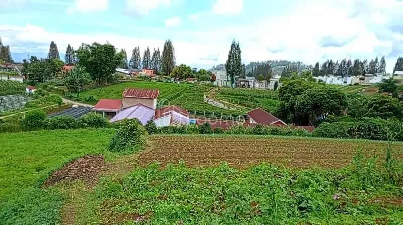 Dijual Tanah SHM 7.220M² DI BERASTAGI PECEREN 08131161141 — foto 2 dari 4