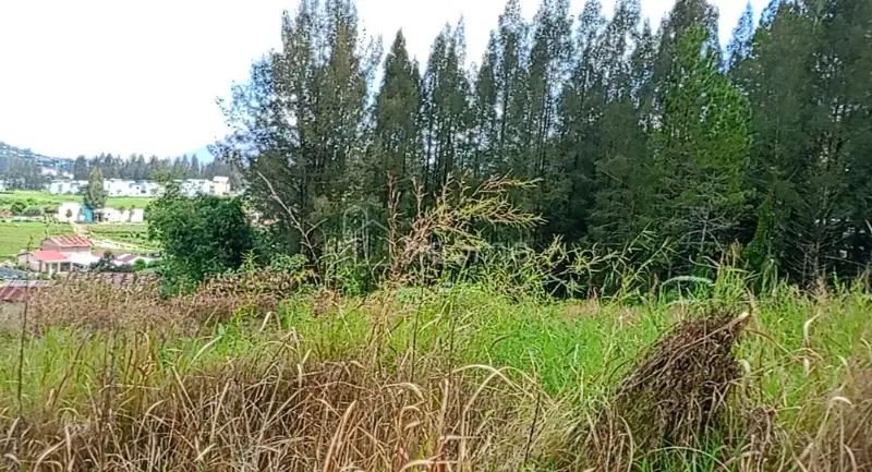 Dijual Tanah SHM 10.059M² DI BERASTAGI PECEREN 08131161141 — foto 3 dari 3