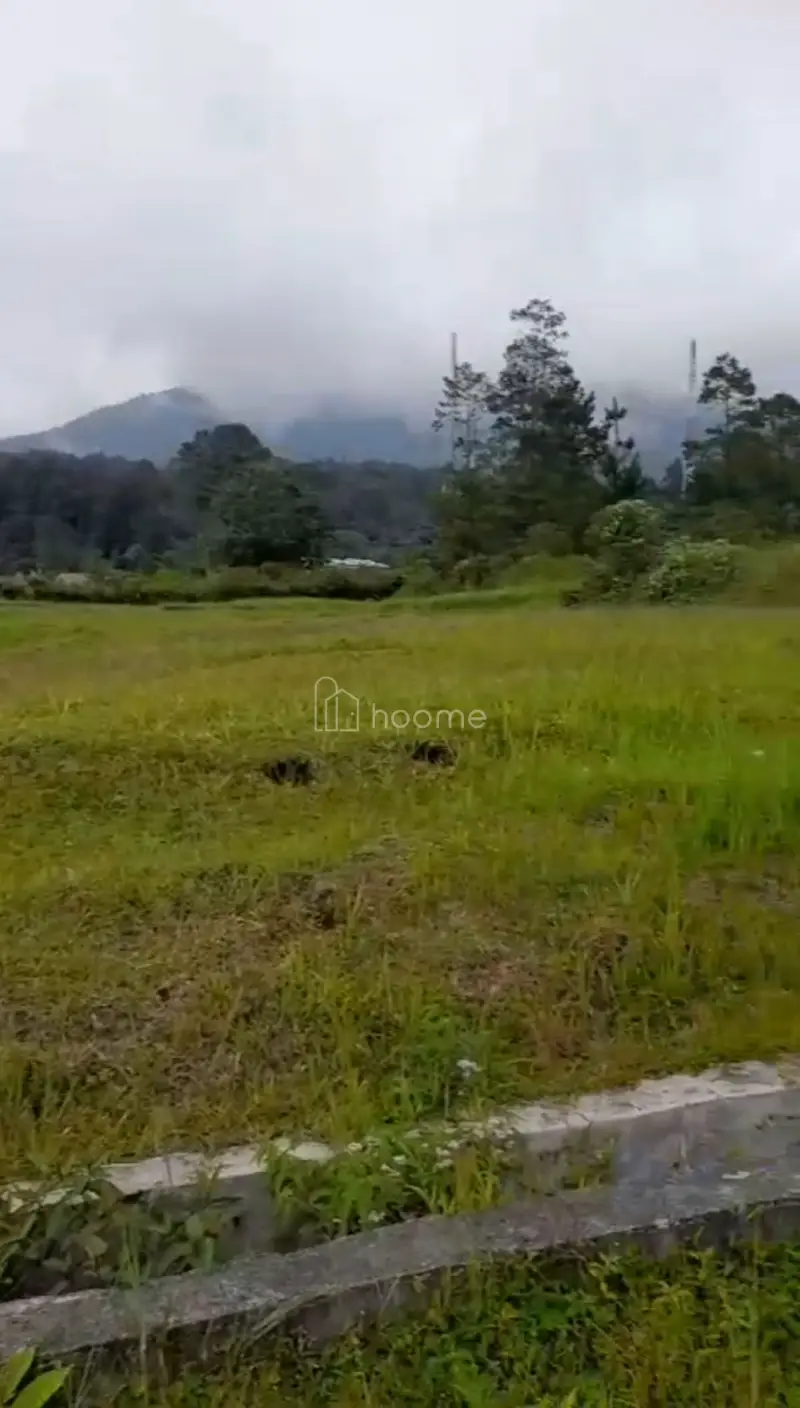 Dijual Tanah 6.500M² DI BANDAR BARU SIBOLANGIT 08131161141