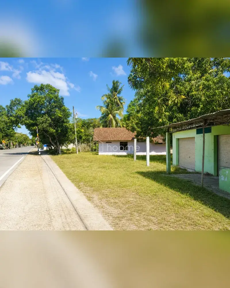 Dijual Tanah di Purwodadi