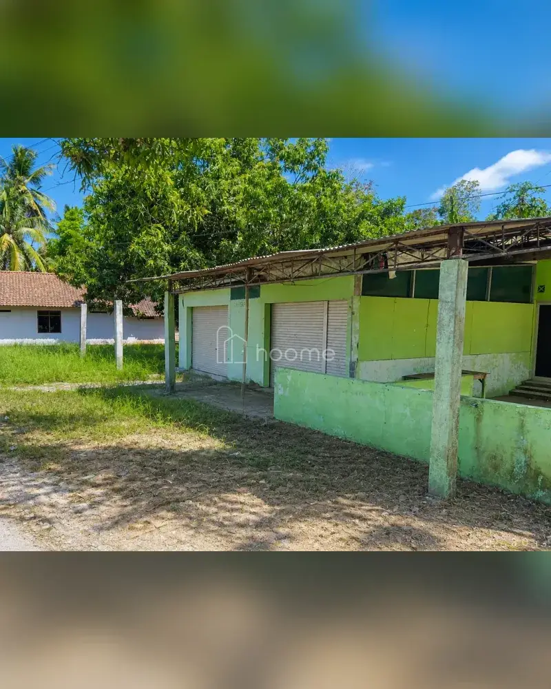 Dijual Tanah di Purwodadi