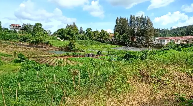 Dijual Tanah SHM 10.080M² DI BERASTAGI PECEREN 081264304189 — foto 3 dari 5