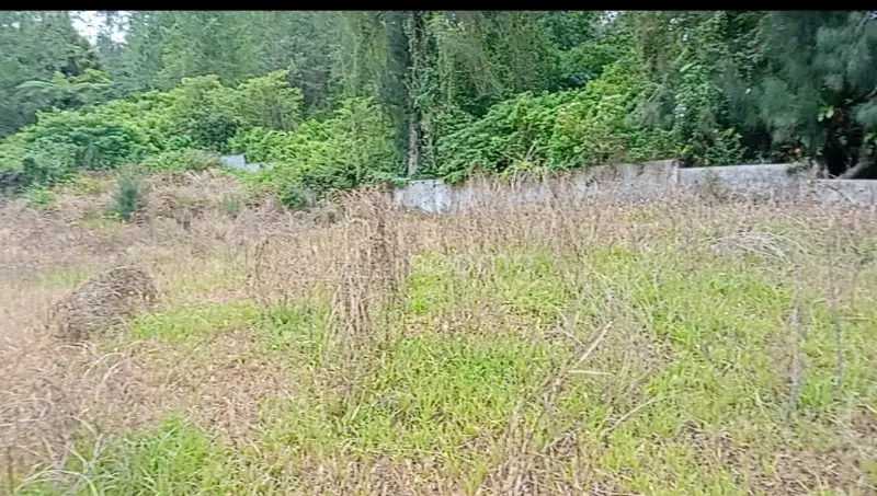 Dijual Tanah SHM 10.059M² DI BERASTAGI PECEREN 081264304189