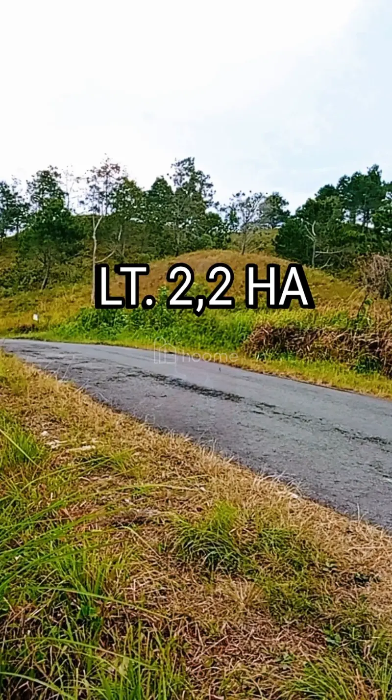 Dijual Tanah 22.000M² VIEW DANAU TOBA 081264304189 — foto 3 dari 5