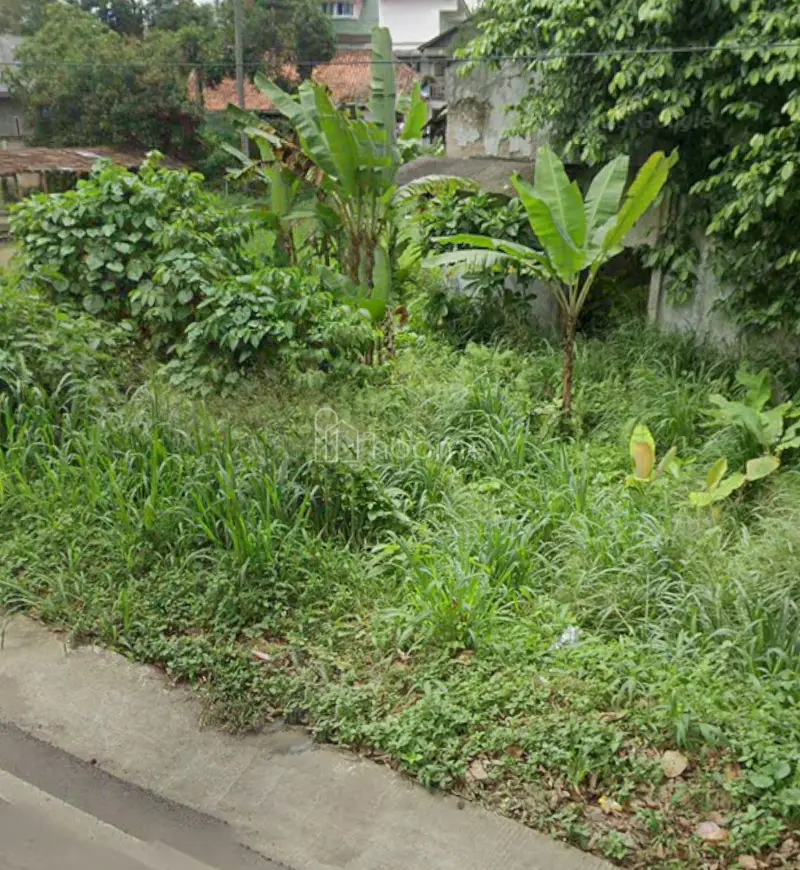 Dijual Tanah Jual Tanah Murah di Jl Raya Pandeglang — foto 2 dari 3