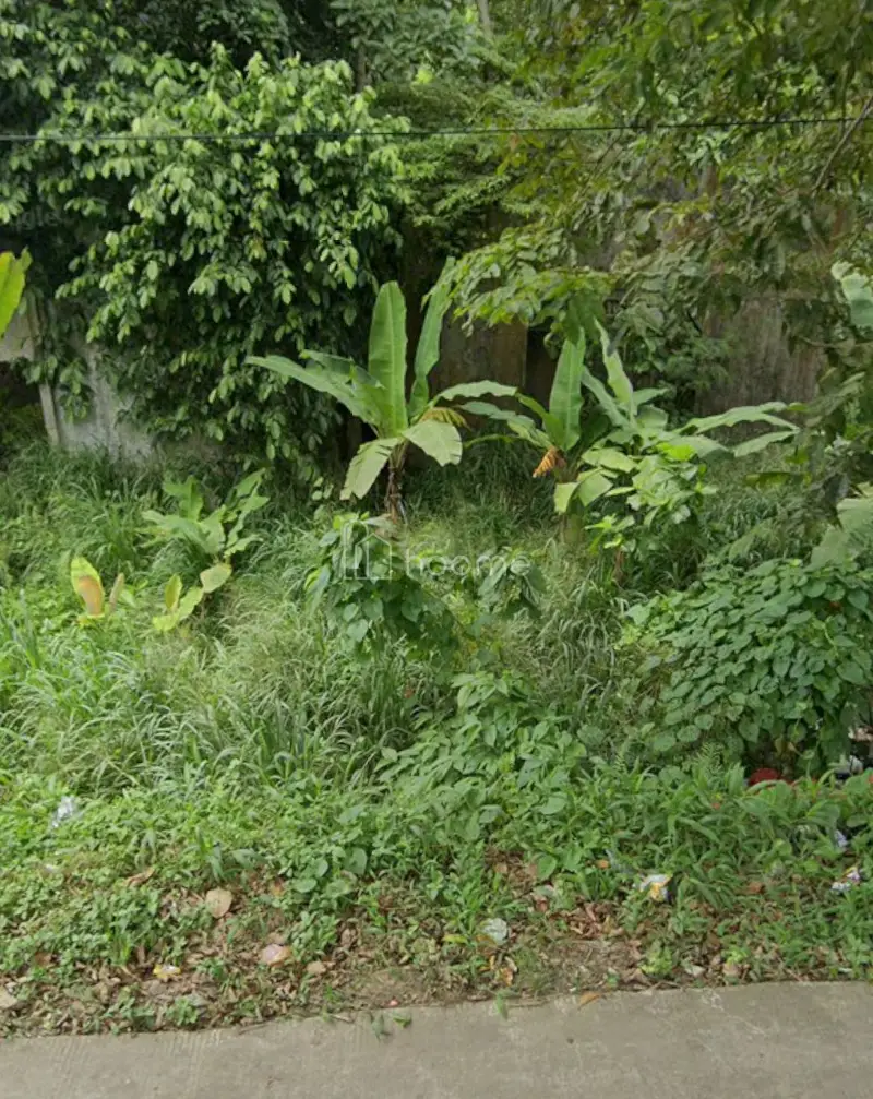 Dijual Tanah Jual Tanah Murah di Jl Raya Pandeglang — foto 3 dari 3