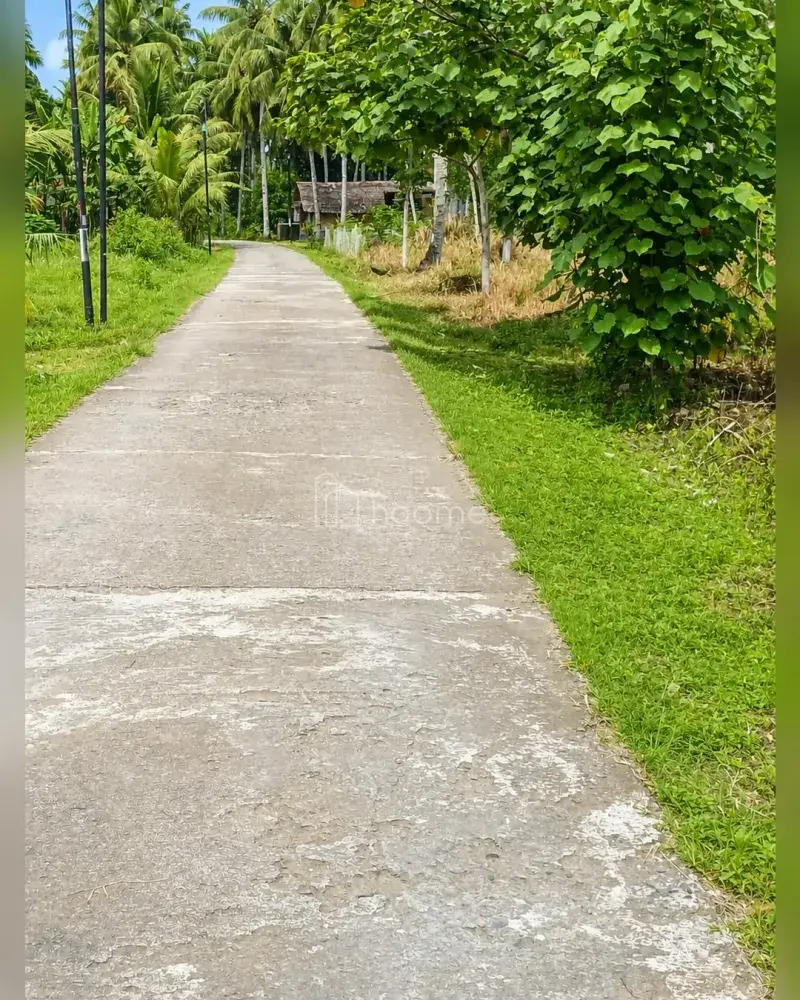 Dijual Tanah di Cijulang
