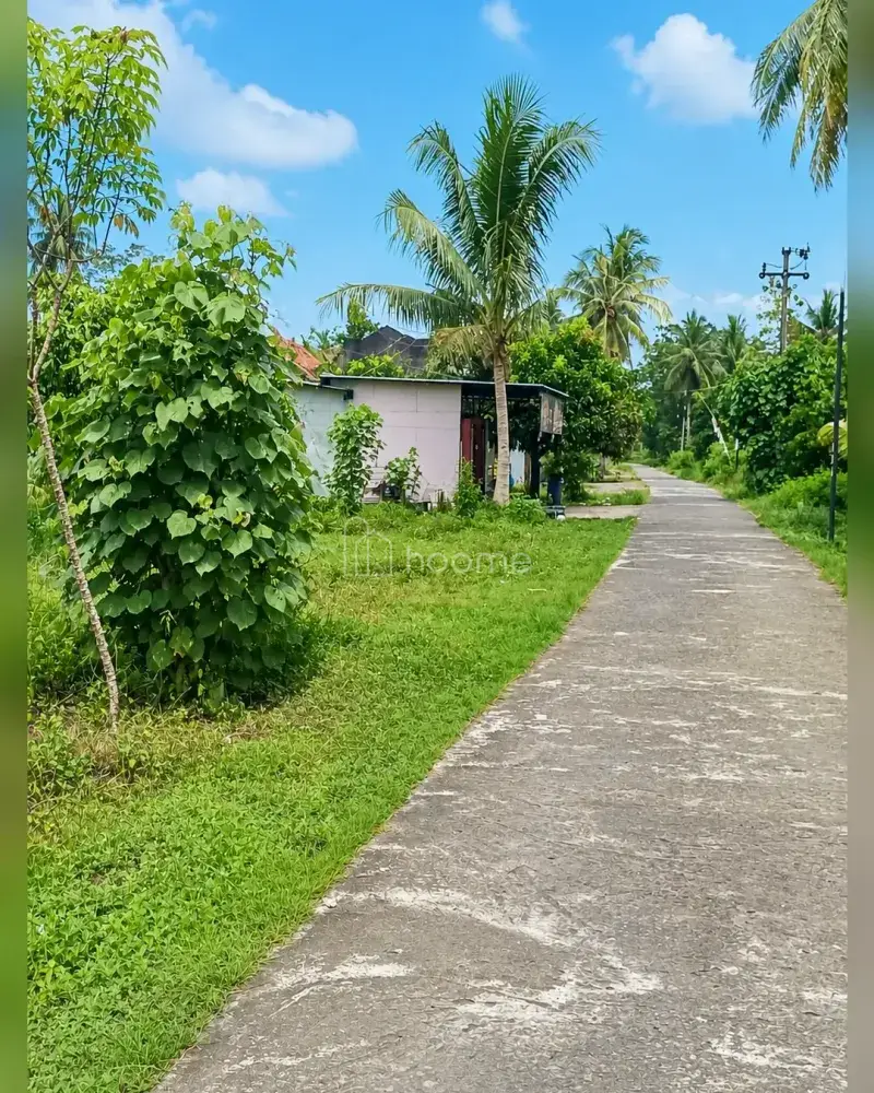 Dijual Tanah di Cijulang