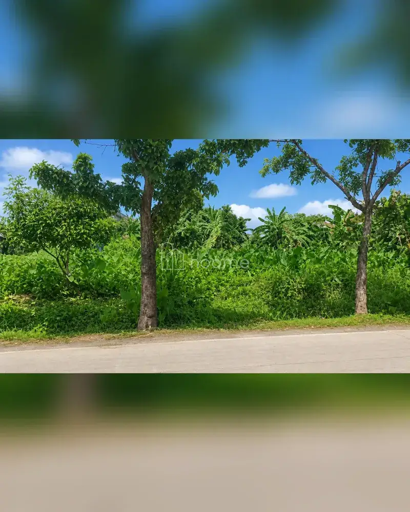 Dijual Tanah di Medan Tembung