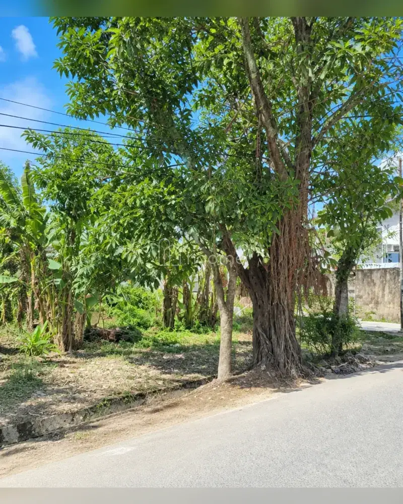 Dijual Tanah di Medan Tembung