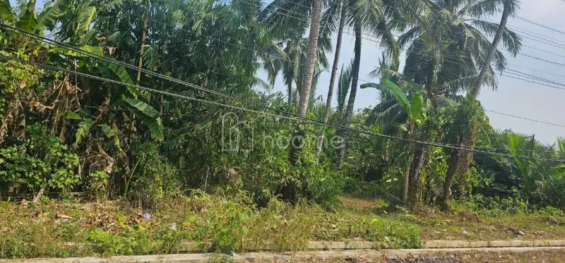 Dijual Tanah Di Jual Tanah Murah, Lokasi Strategis (Harga Nego)