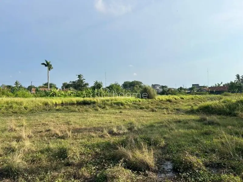 Dijual Tanah Luas 17.100m2 ex Pabrik Beras di Kota Batujaya