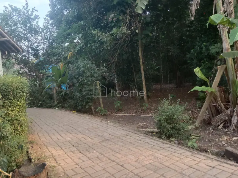 Dijual Tanah Murah, Lokasi Strategis (Harga Nego)