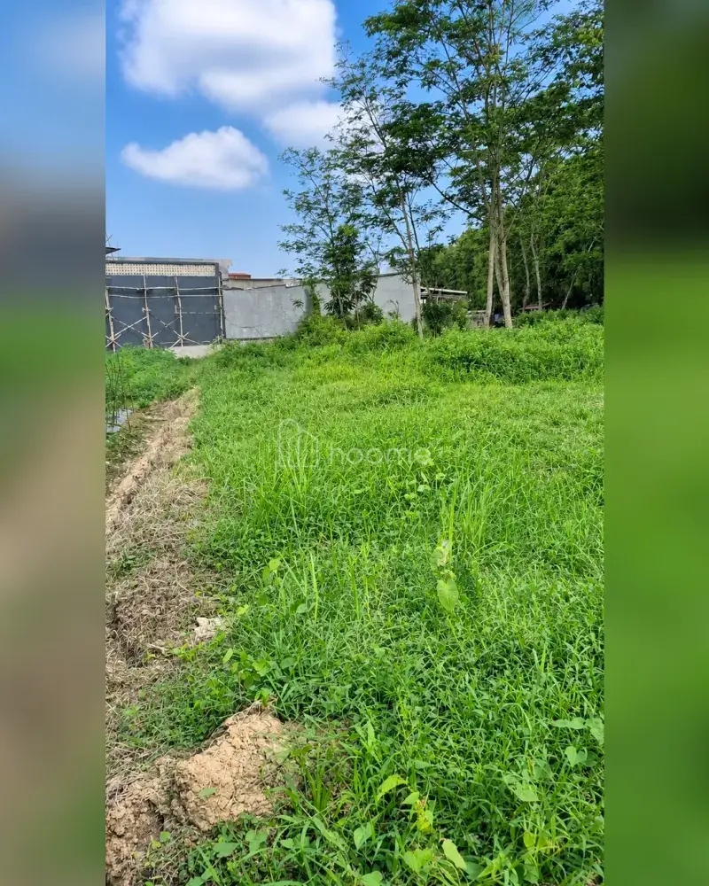 Dijual Tanah di Borobudur