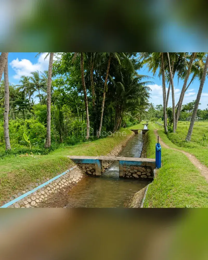 Dijual Tanah di Borobudur