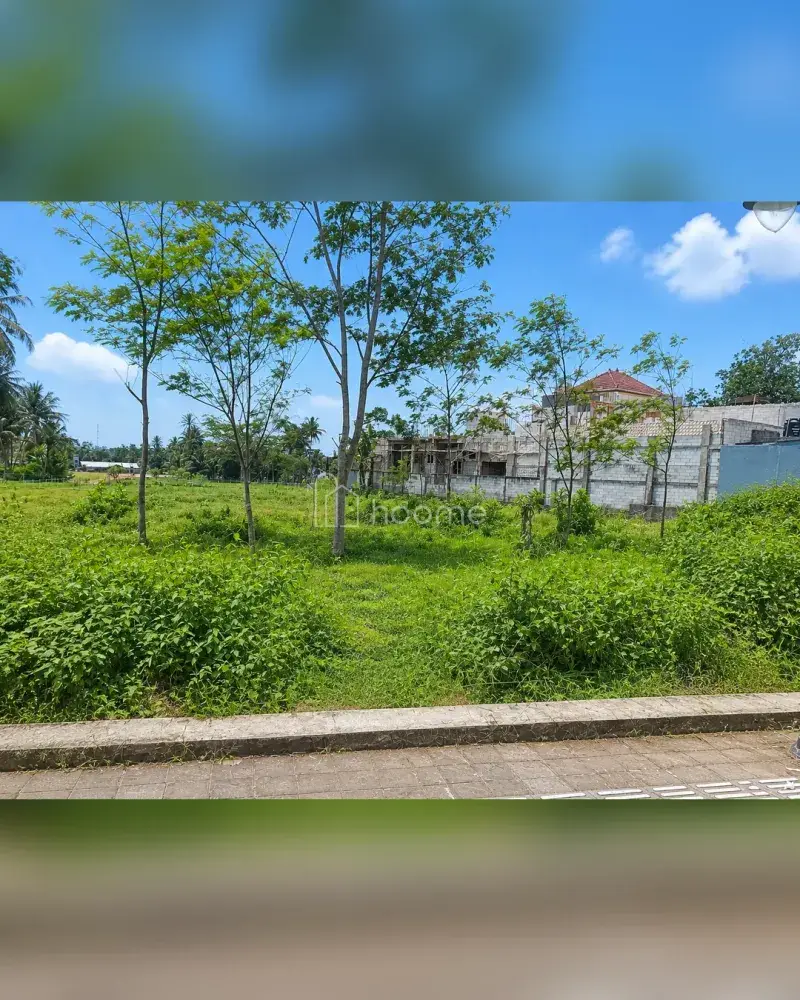 Dijual Tanah di Borobudur