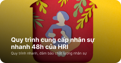 Cung cấp nhân sự IT 48h: Quy trình chuẩn của HRI Vietnam