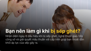 Bạn nên làm gì khi bị sếp ghét?