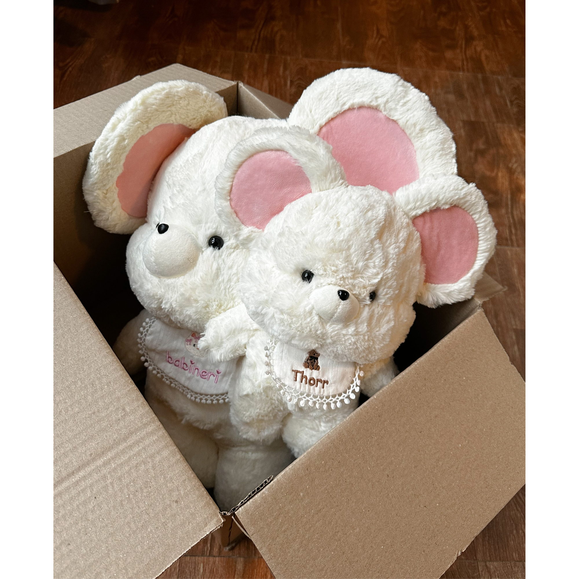Chuột bông- Cute Mouse