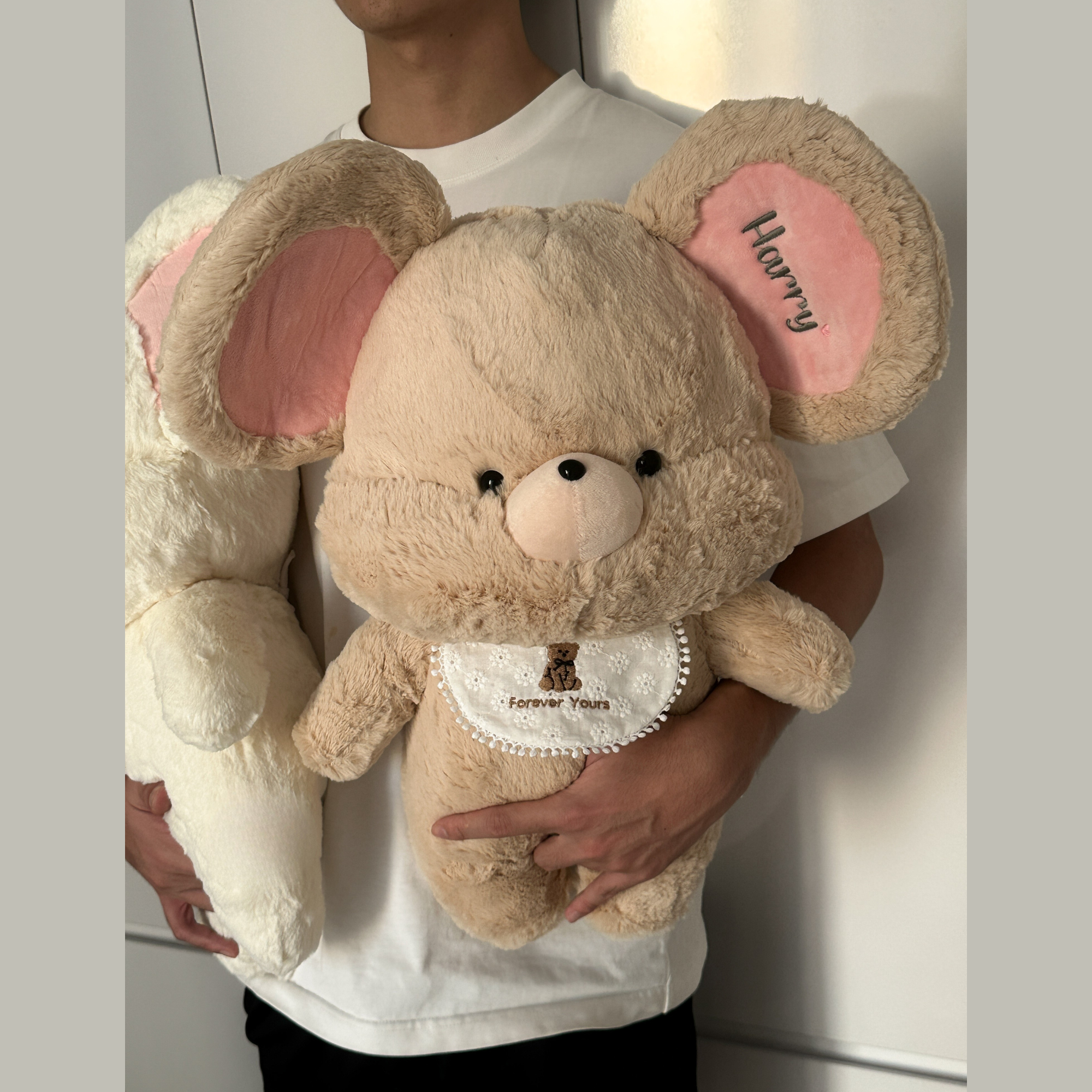 Chuột bông- Cute Mouse