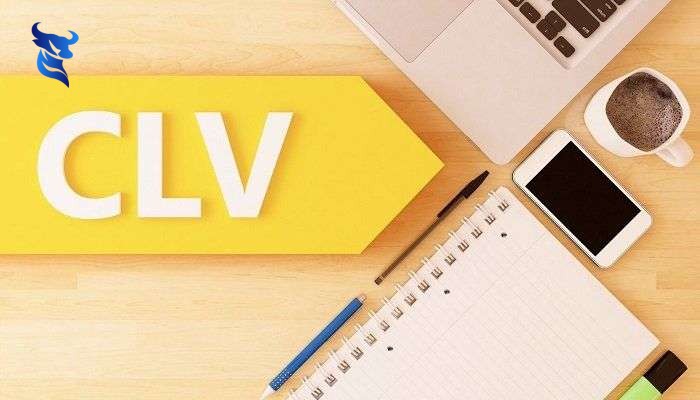 Đo lường roi của website: những cách tính hiệu quả nhất