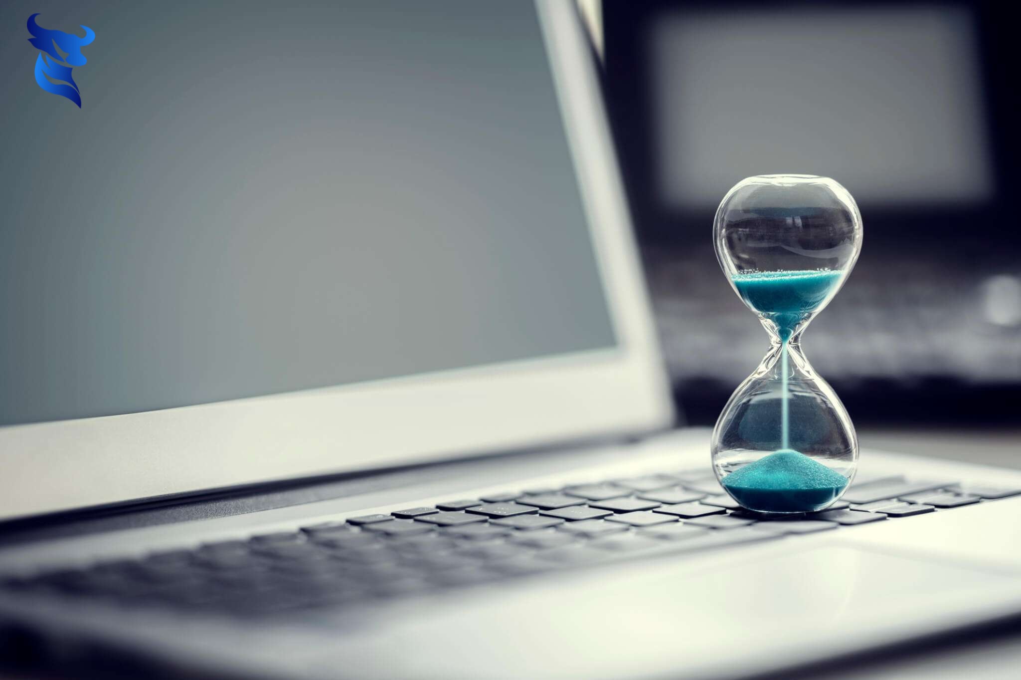 Thiết kế website tự làm so với thuê chuyên gia: lựa chọn nào tốt hơn?