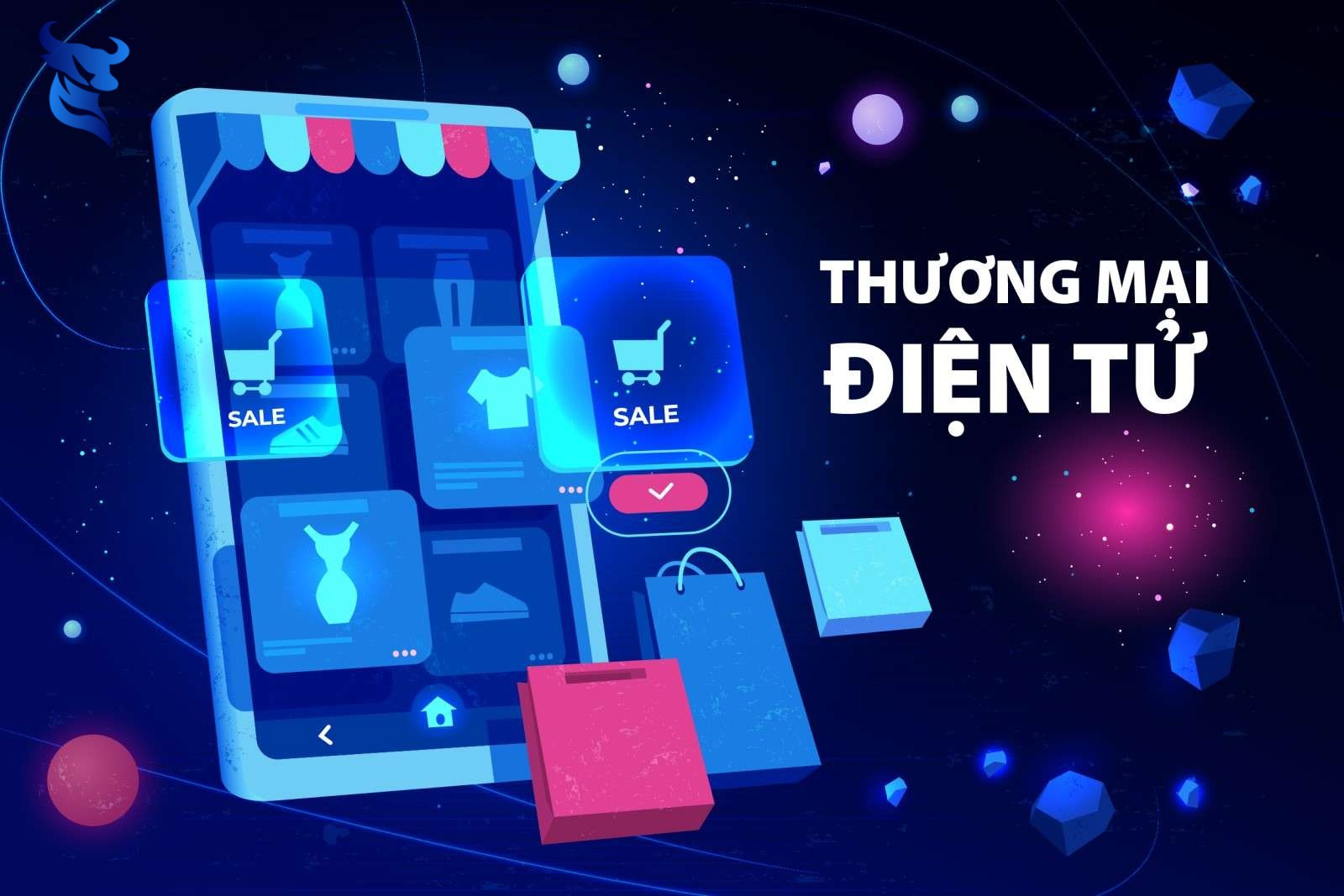 Sự phát triển của website thương mại điện tử tại Việt Nam 1 Sự phát triển của website thương mại điện tử tại việt nam