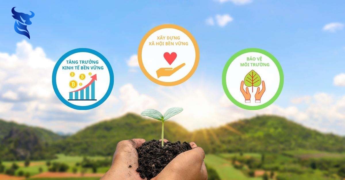 Sự phát triển của website thương mại điện tử tại Việt Nam 7 Sự phát triển của website thương mại điện tử tại việt nam