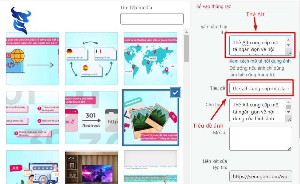 Hình ảnh và video trên website: cách sử dụng đúng để tạo ấn tượng.