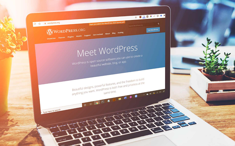 Thiết kế website bằng WordPress và Code theme và plugin theo yêu cầu 8 Thiết kế website bằng wordpress và code theme và plugin theo yêu cầu