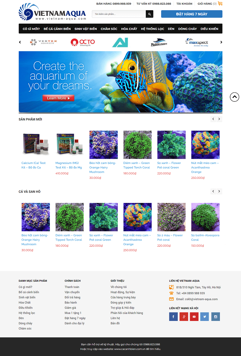 Thiết kế website bán cá cảnh, cây trang trí thủy sinh chuyên nghiệp hiện đại 3 Thiết kế website bán cá cảnh, cây trang trí thủy sinh chuyên nghiệp hiện đại