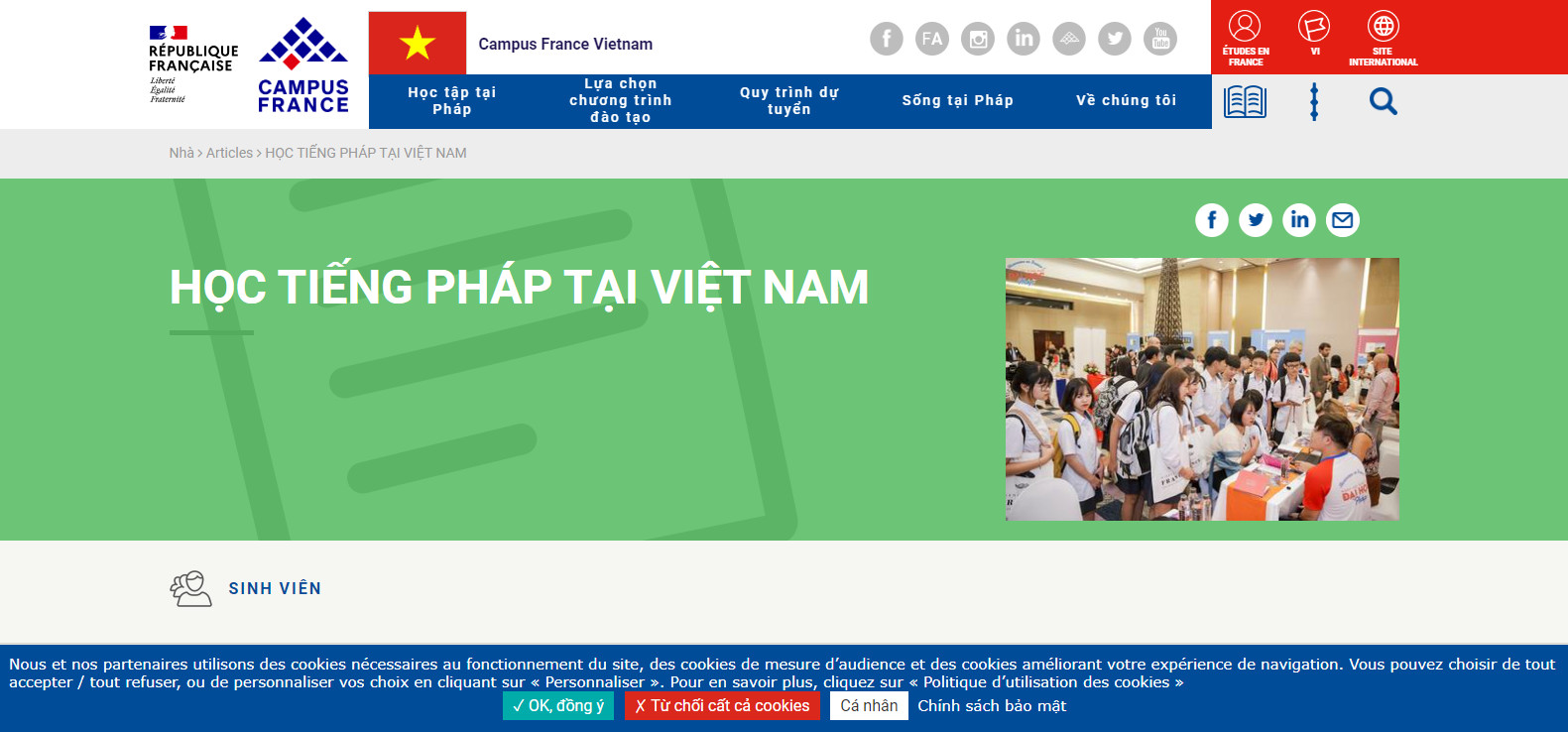 Thiết kế website dạy tiếng pháp chuyên nghiệp hiện đại